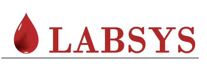 www.labsys.com.mx